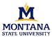 MSU Logo